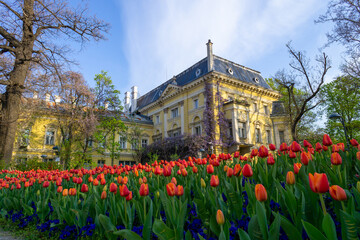 Gardens of the royal palace in the city of Sofia, with some red tulips in the foreground, on a day with blue sky.