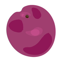 Tasty plum on white background