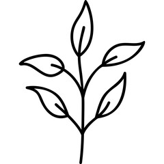 Line Art Plant