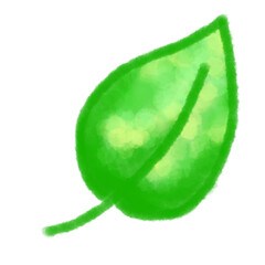 leaf