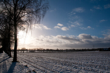 Kalter Winter im westlichen Münsterland
