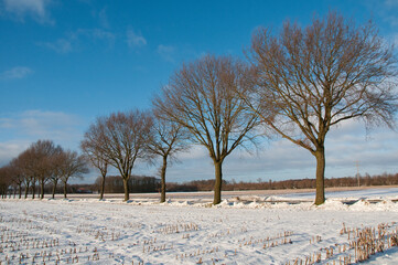 Kalter Winter im westlichen Münsterland