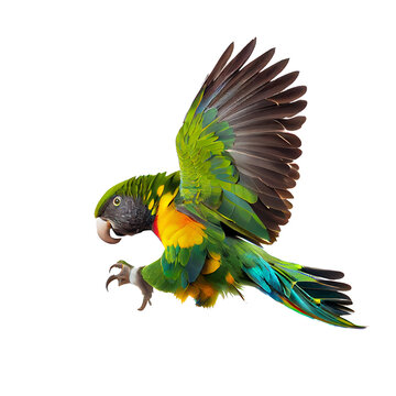 Photo realistic green parrot flying beautifully. On a white background, easy to use. generative AI