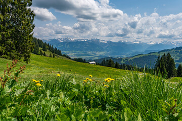 Hike at the Nagelfluhkette from Gunzesried over the Stuiben to the Steineberg