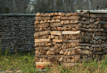 wooden logs cut and stacked outdoors