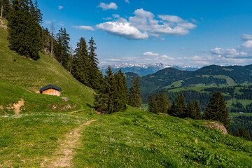 Hike at the Nagelfluhkette from Gunzesried over the Stuiben to the Steineberg