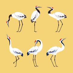 Red Crowned Crane as Long-legged and Long-necked Bird in Different Pose Vector Set