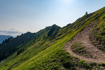Hike at the Nagelfluhkette from Gunzesried over the Stuiben to the Steineberg