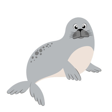Cute harbor seal cartoon animal design flat vector illustration isolated on white background