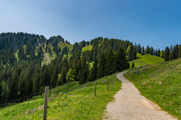 Hike at the Nagelfluhkette from Gunzesried over the Stuiben to the Steineberg
