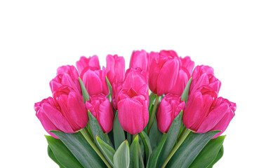 Bouquet of tulips isolated on a white background
