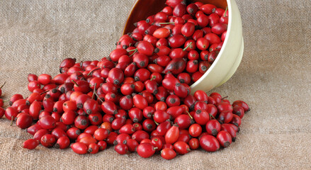 An overturned bowl with red rose hips is depicted.