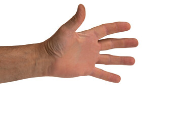 The left open palm of a man is depicted on a white background.