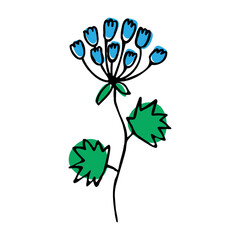 vector cartoon drawing of a flower. agapanthus doodle with colored spots on a white background.eps