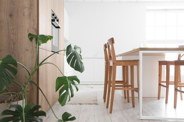 Interior of modern kitchen with built-in oven, table, chairs and houseplant