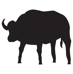 silhouette of a bull