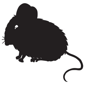 illustration of a Mouse