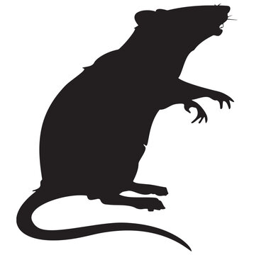recommend clip art: Rat silhouette