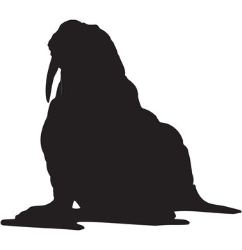 black walrus silhouette sitting isolated clip art preview