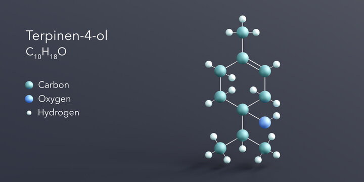 terpinen-4-ol molecule 3d rendering, flat molecular structure with chemical formula and atoms color coding