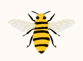 Drawing of a bee, bees, drawing for children, postcard, summer, nasikomoje, beetle
