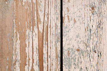 wooden background with old white paint. The old wall