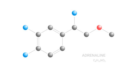 Adrenaline or adrenalin, epinephrine neurotransmitter molecule. Skeletal and chemical formula symbolizes stimulation, chemical process, effect on body, biological reaction. Еransparent background