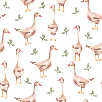 Watercolor ducks seamless pattern - goose farm birds illustration kids nursery template pattern