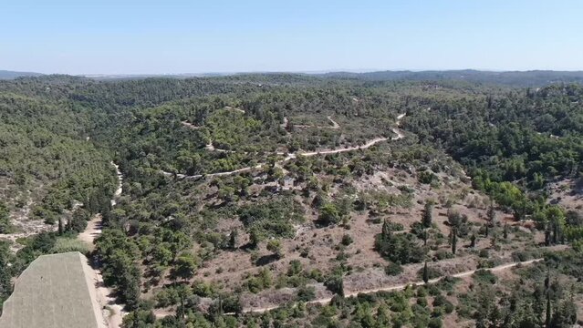 A view of the western part of the Ofer forest towards the southwest.