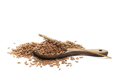 Organic peeled spelt grains and ear of wheat in wooden spoon isolated on white, side view