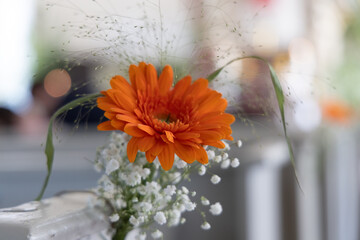 Schmuck Kirche einzelne Blume