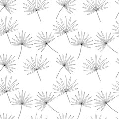 Vector chamaerops seamless pattern. Hand drawn tropical leaves sketch pattern