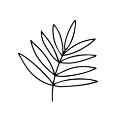 Vector branch with leaves hand drawn sketch. Outline leaves illustration