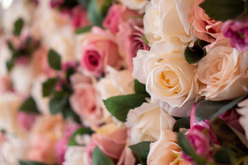 Closeup image of flowers wall background with pink and white roses. 