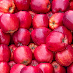 Bright red apples top view closeup for sale at the local market.