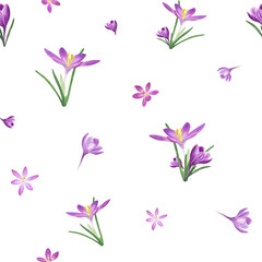 Fototapeta na wymiar Watercolor seamless pattern of crocuses isolated on transparent background. Spring illustration for the design of textile, wrapping paper, scrapbooking, greetings, wedding cards
