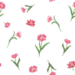 Watercolor seamless pattern of pink tulips isolated on transparent background. Spring flower illustration for print, textile design, wrapping paper, scrapbooking, postcards