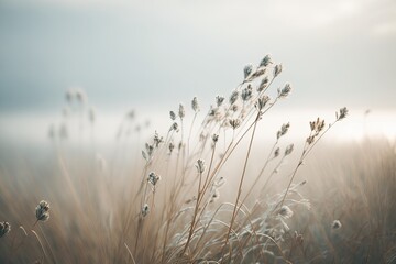 Fototapeta Blossoming grass with a gentle breeze against a misty sky in the morning. This image is calm and serene, with a straightforward zen tone. nature in pastel tones in spring. Generative AI obraz