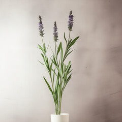 Fototapeta premium long stem flower Generative AI