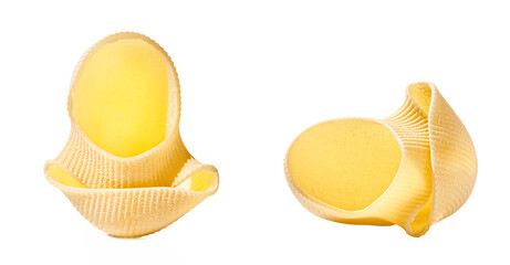 Pasta conchiglie noodle isolated on white, close up