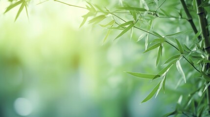 Fototapeta na wymiar Green natural background with bamboo. Illustration AI Generative.