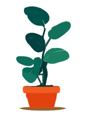 Plant in pot vector illustration. Cartoon flat different indoor potted decorative houseplant for interior home or office decoration, green garden floral icon isolated on white.