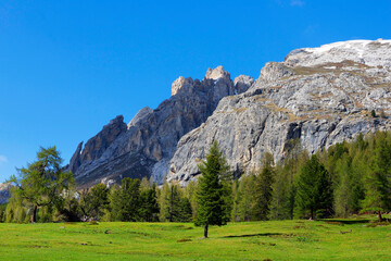 Fototapeta na wymiar Summer landscape of Durrenstein mountain, Dolomites, Italy, Europe