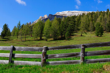 Fototapeta na wymiar Summer landscape of Durrenstein mountain, Dolomites, Italy, Europe