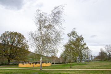 Fototapete bei efototapeten.de bestellen   