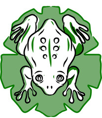 Frogs are amphibians