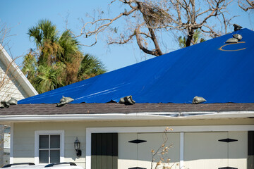 Hurricane Ian damaged house rooftop covered with protective plastic tarp against rain water leaking...
