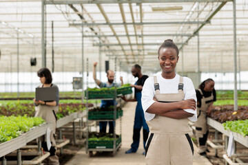 Happy smiling entrepreneur farm manager leading group of farm workers cultivating locally non-GMO free leafy greens crops. Sustainable eco friendly agriculture in certified organic greenhouse