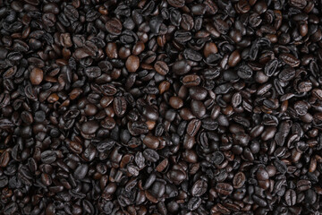 Roasted Brazilian Coffee Beans. Top View