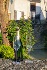 Tasting of premier cru sparkling white wine with bubbles champagne with view on old houses of...